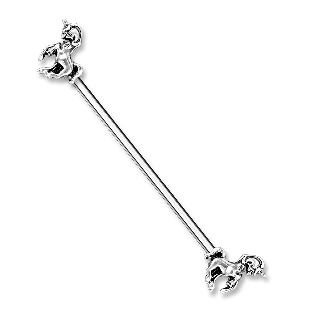 Industrial barbell with unicorns