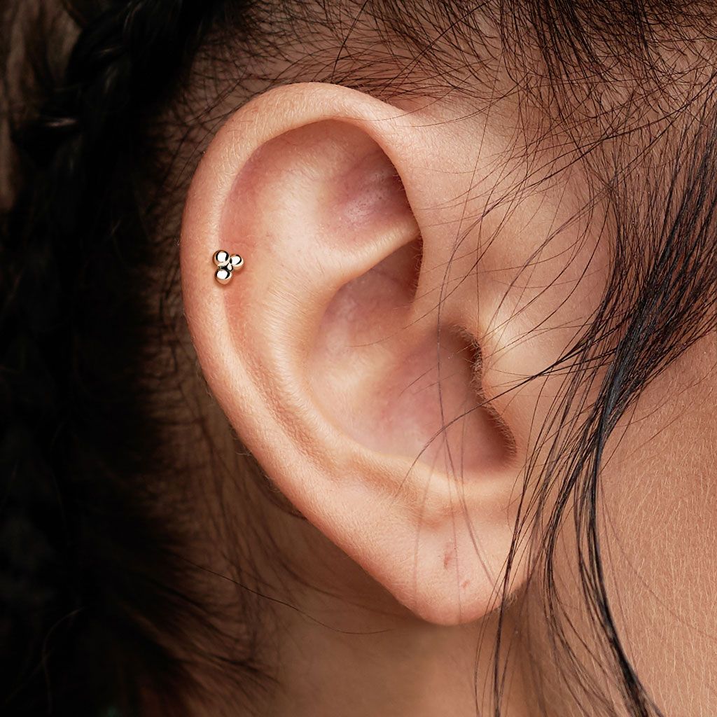 the piercing pro titanium jewelry